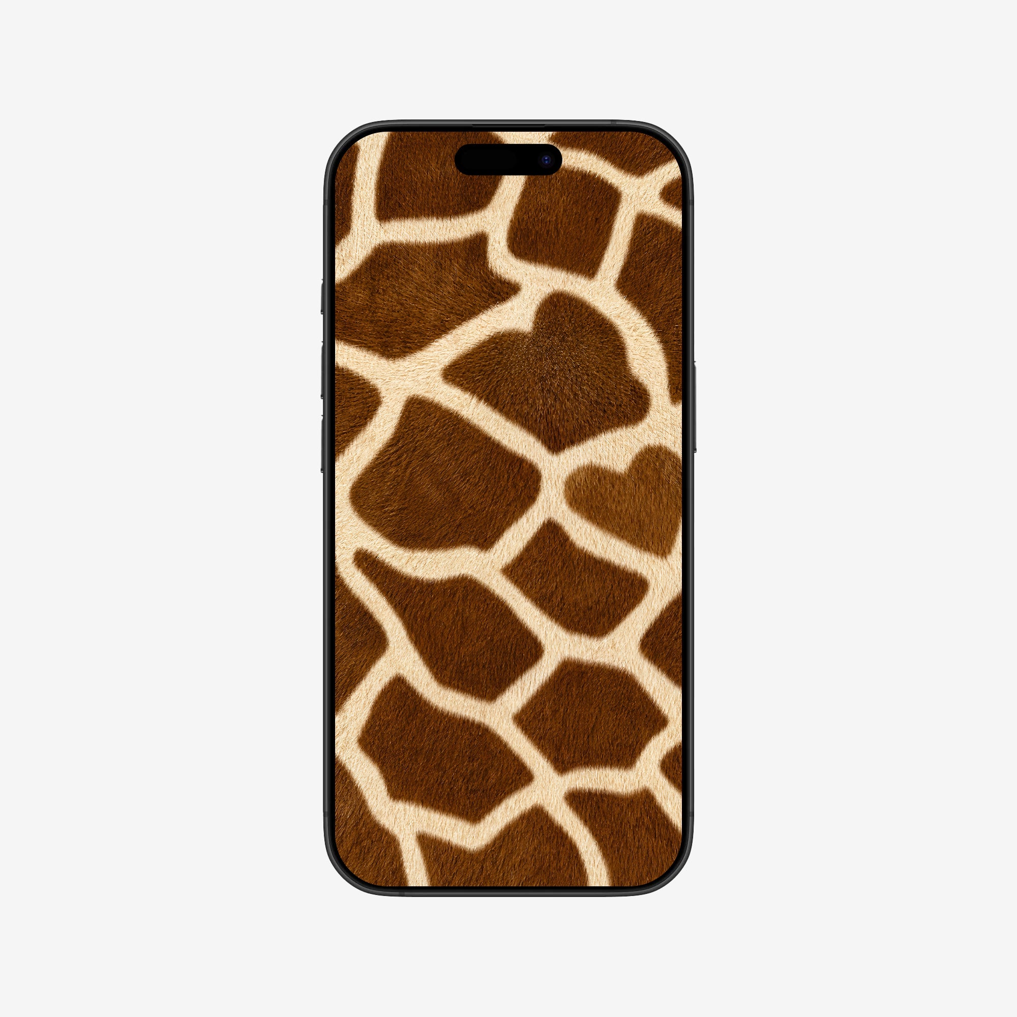 LUOV Wallpapers 01 | TOUCH